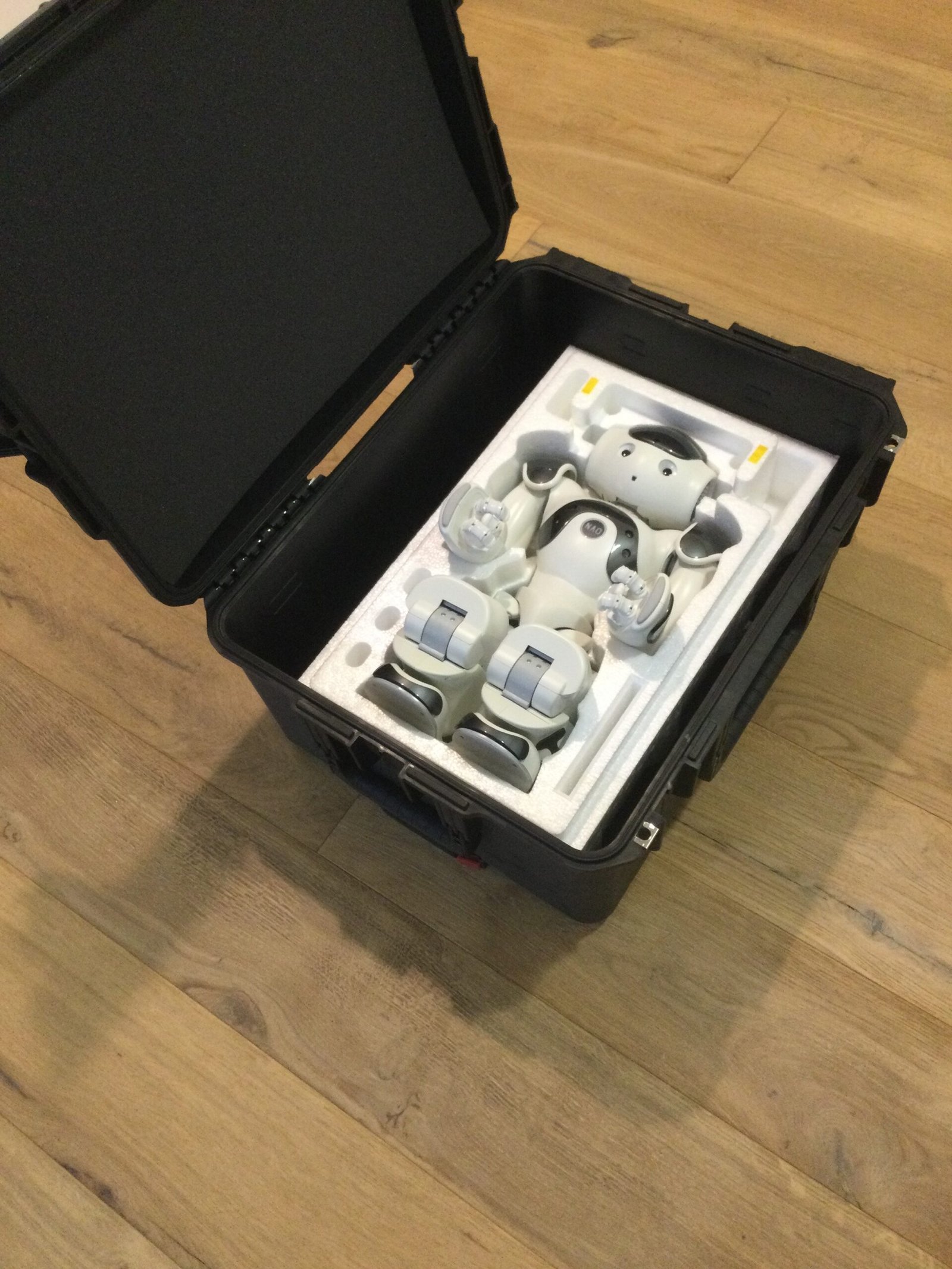 Nao Robot V6 from 2023 (never used)