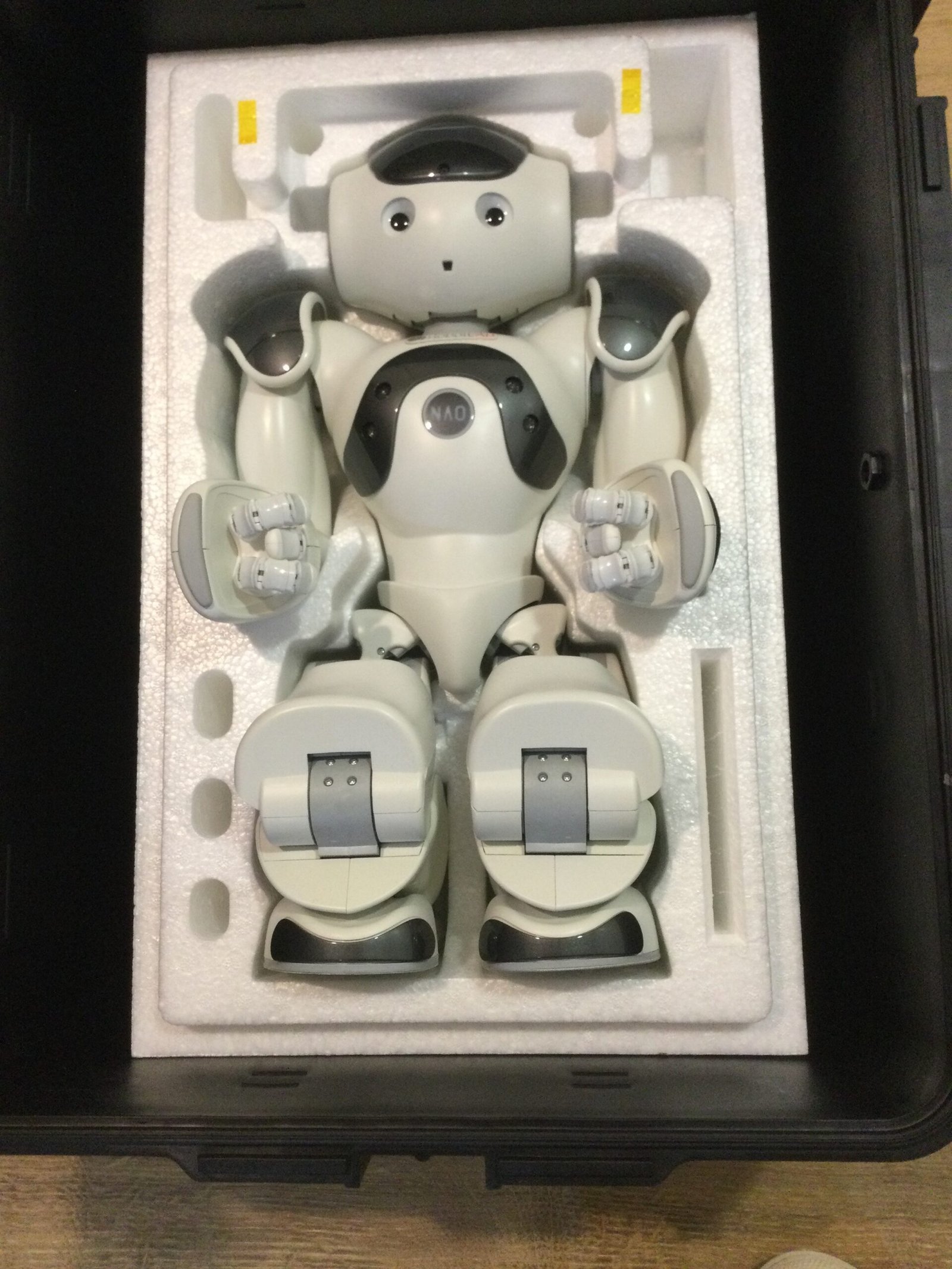 Nao Robot V6 from 2023 (never used)