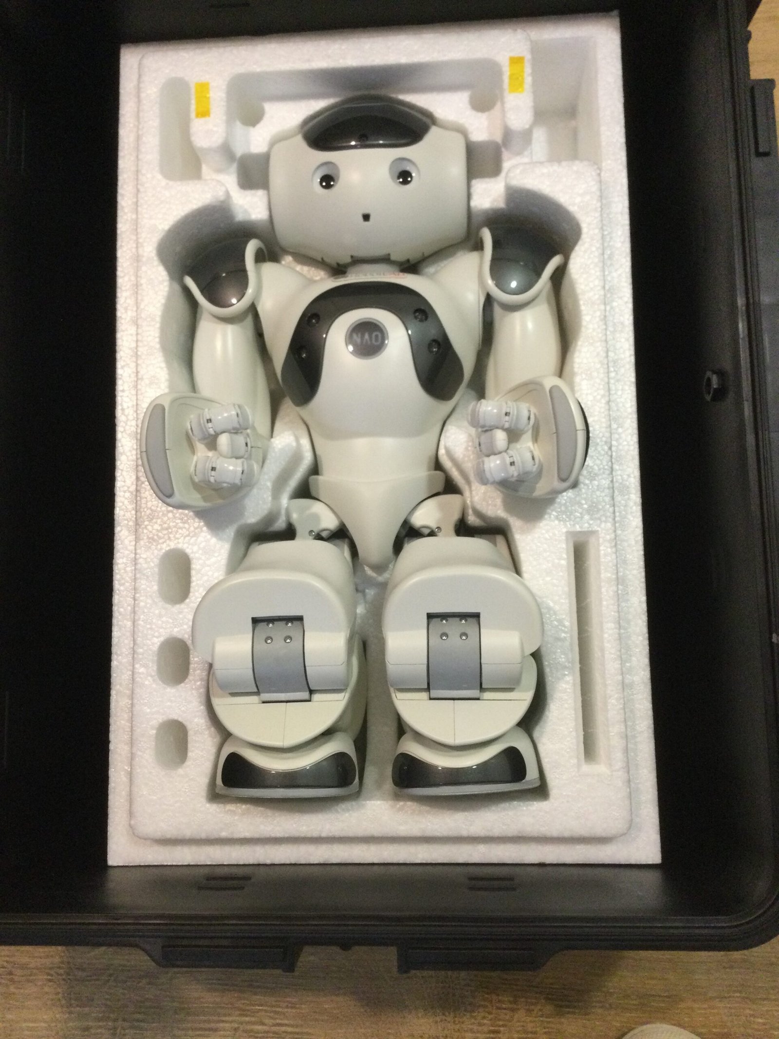 Nao Robot V6 from 2023 (never used)